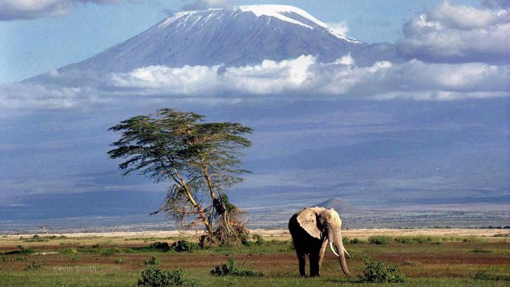5 Cosas que debes hacer al viajar a Tanzania: Guía de viaje 1