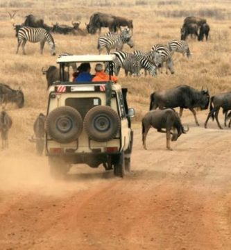 5 Cosas que debes hacer al viajar a Tanzania: Guía de viaje